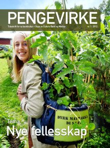 Pengevirke 1 / 2013-coverbilde